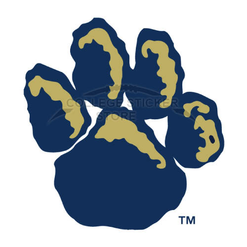 Homemade Pittsburgh Panthers Iron-on Transfers (Wall Stickers)NO.5897